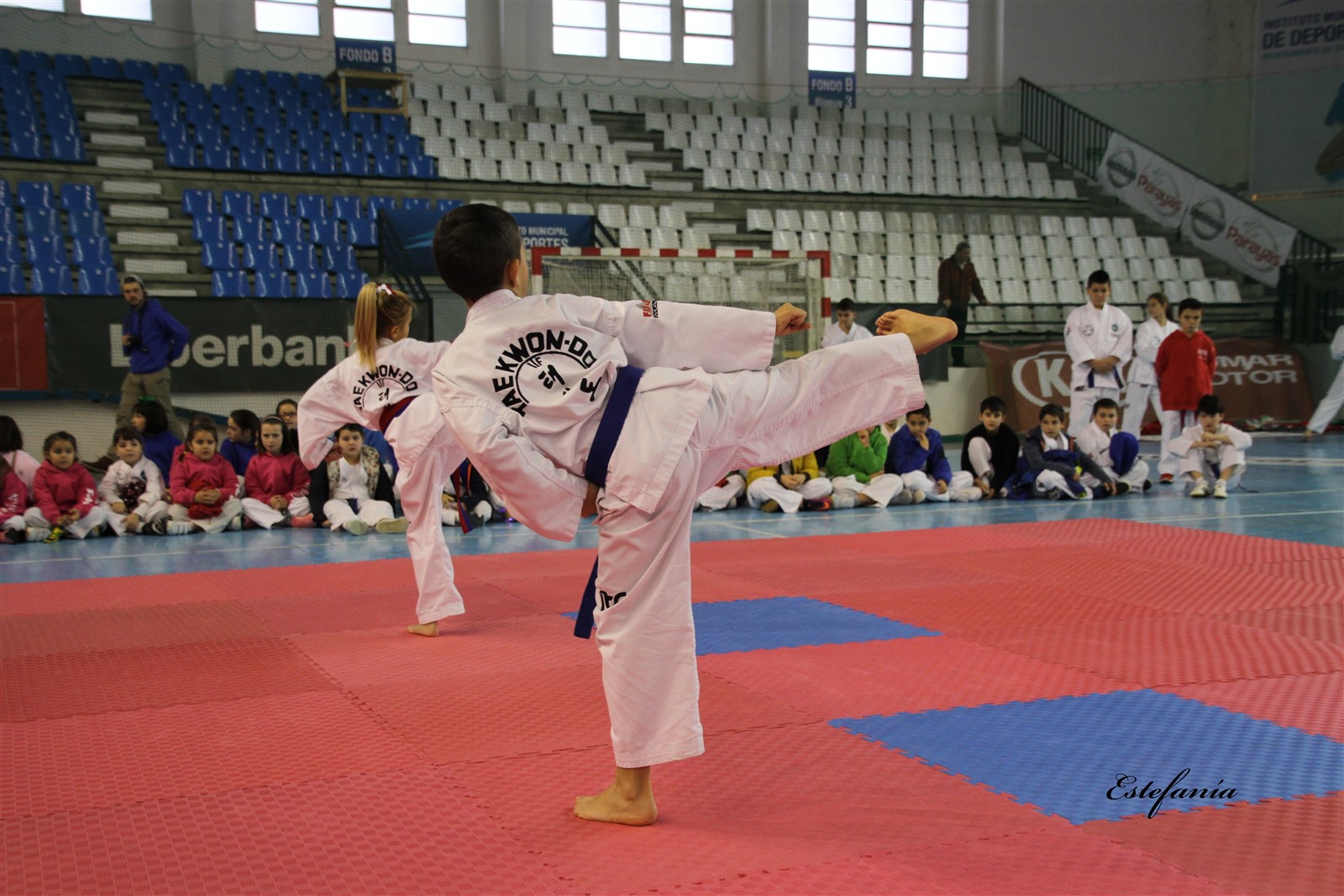 Taekwondo (160).jpg